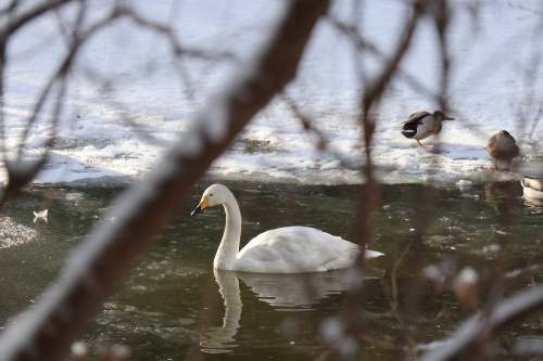 久しぶりの晴れ間。